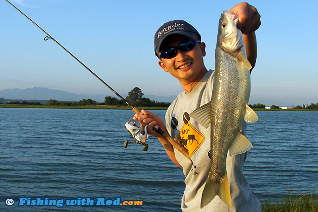 northern pikeminnow caught on a dough bait northern pikeminnow caught on a dough bait