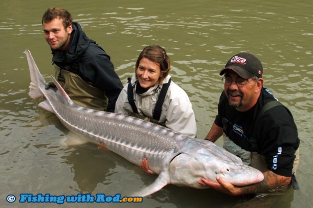 BC white sturgeon fishing BC white sturgeon fishing