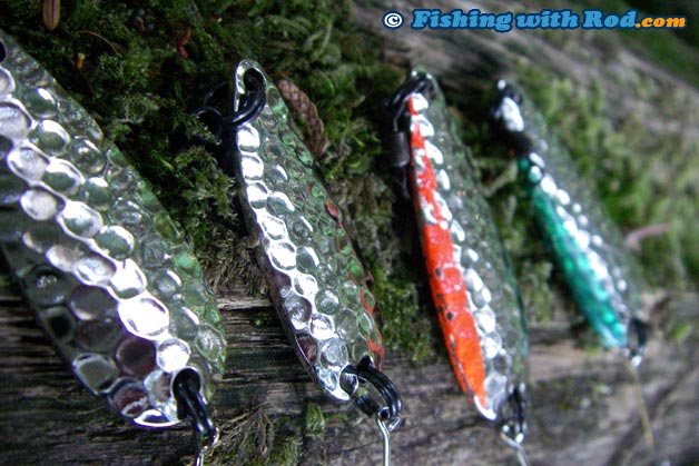 Small hammered spoons are deadly for rainbow trout Small hammered spoons are deadly for rainbow trout