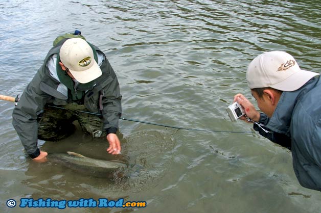 Keeping a salmon in the water before being photographed Keeping a salmon in the water before being photographed