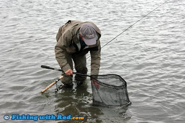 Using a landing net to handle a fish for photographing Using a landing net to handle a fish for photographing