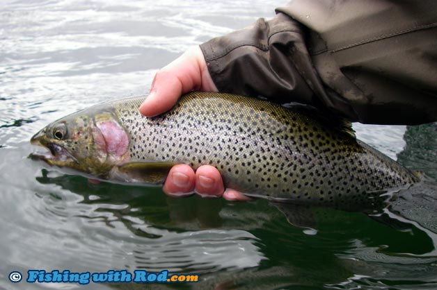 Vancouver Island lake cutthroat trout fishing Vancouver Island lake cutthroat trout fishing
