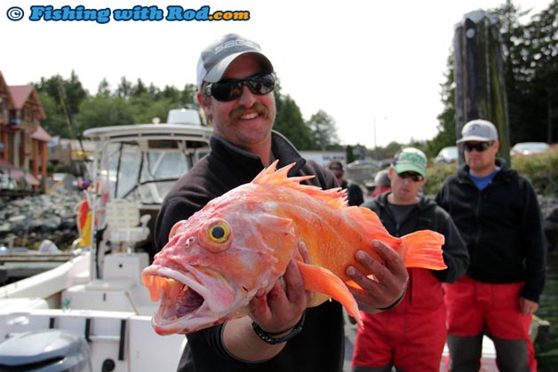 Big rockfish in Ucluelet BC Big rockfish in Ucluelet BC