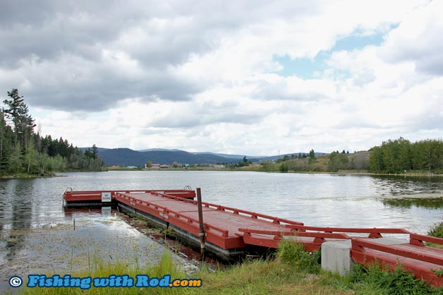 Rainbow trout fishing at Logan Lake BC Rainbow trout fishing at Logan Lake BC