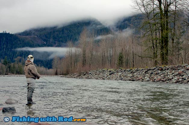 Cheakamus River salmon and trout fishing Cheakamus River salmon and trout fishing