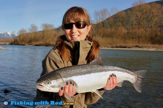 Steelhead fishing in Chilliwack River BC Steelhead fishing in Chilliwack River BC