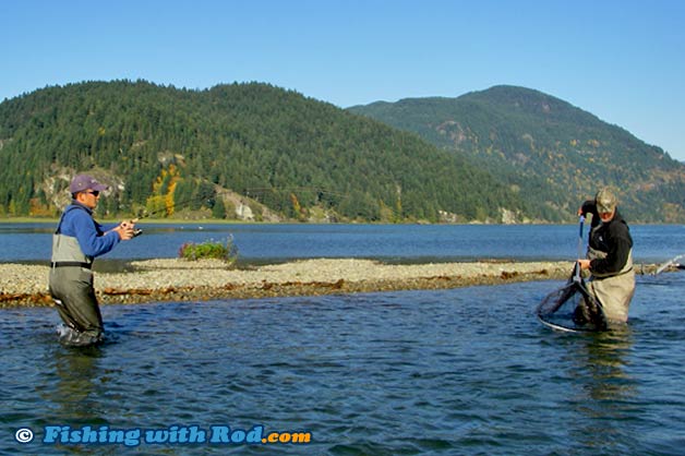 Coho salmon fishing at Harrison River BC Coho salmon fishing at Harrison River BC