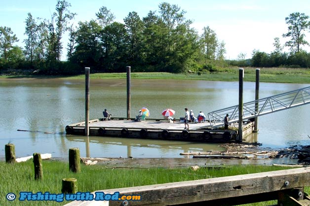 Fishing at No. 2 Road Pier in Richmond BC Fishing at No. 2 Road Pier in Richmond BC