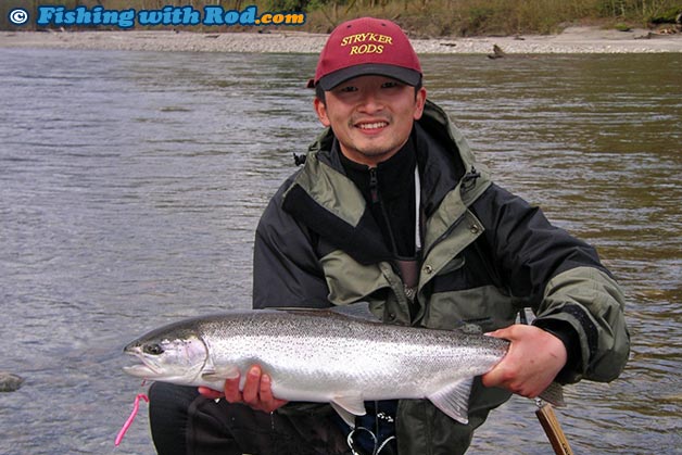 A fresh steelhead caught on a large pink worm A fresh steelhead caught on a large pink worm
