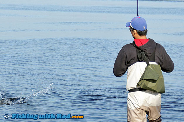 Fish on! Fish on!