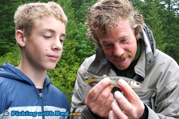 Cultus Lake northern pikeminnow Cultus Lake northern pikeminnow
