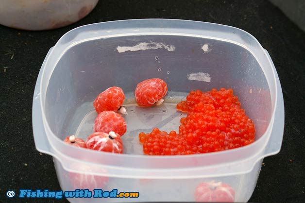 Roe sacs for sturgeon fishing Roe sacs for sturgeon fishing